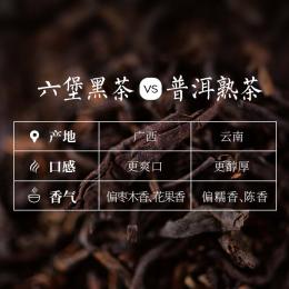 天福茗茶广西六堡茶梧州黑茶一级散茶礼盒装送礼收藏300g/盒